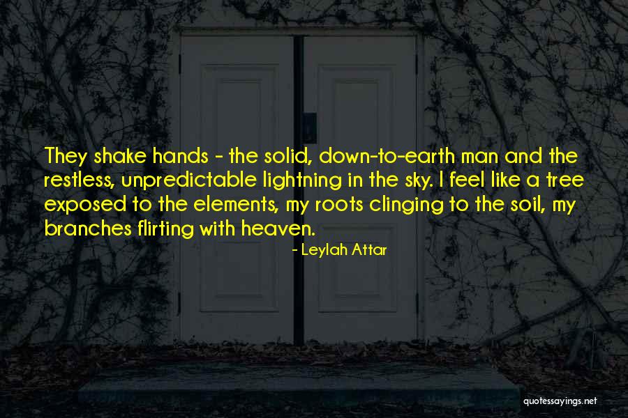 Earth Soil Quotes By Leylah Attar