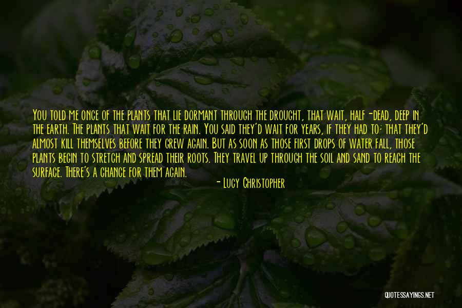 Earth Soil Quotes By Lucy Christopher