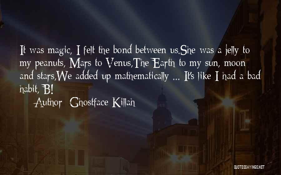 Earth Sun Moon Quotes By Ghostface Killah