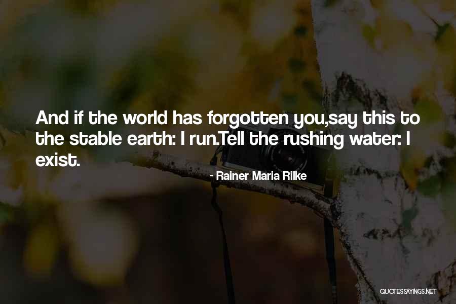 Earth Water Quotes By Rainer Maria Rilke