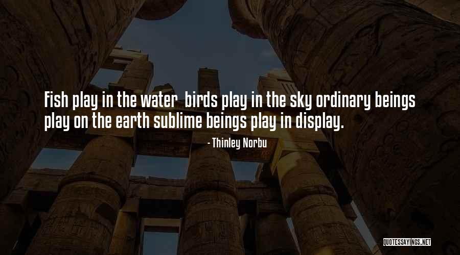 Earth Water Quotes By Thinley Norbu