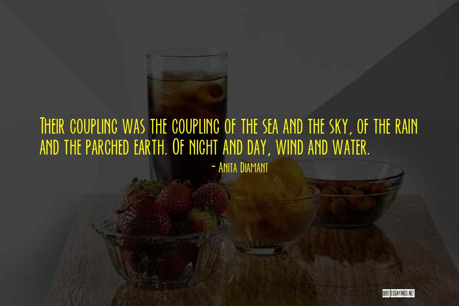 Earth Water Sky Quotes By Anita Diamant Earth Water Sky Quotes By Anita Diamant