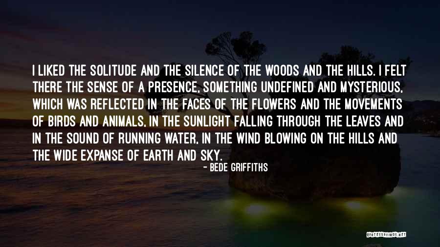 Earth Water Sky Quotes By Bede Griffiths Earth Water Sky Quotes By Bede Griffiths