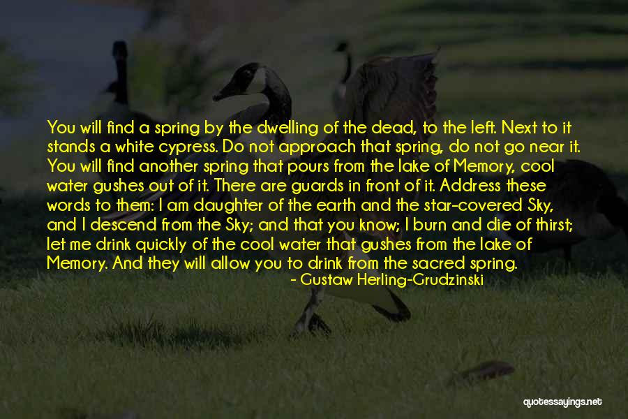 Earth Water Sky Quotes By Gustaw Herling-Grudzinski Earth Water Sky Quotes By Gustaw Herling-Grudzinski