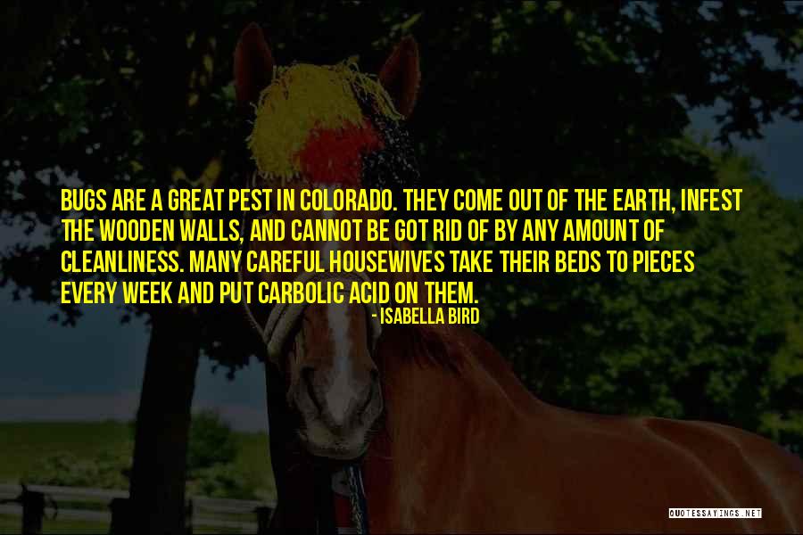 Earth Week Quotes By Isabella Bird