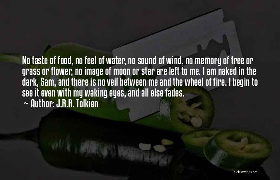 Earth Wind Fire And Water Quotes By J.R.R. Tolkien