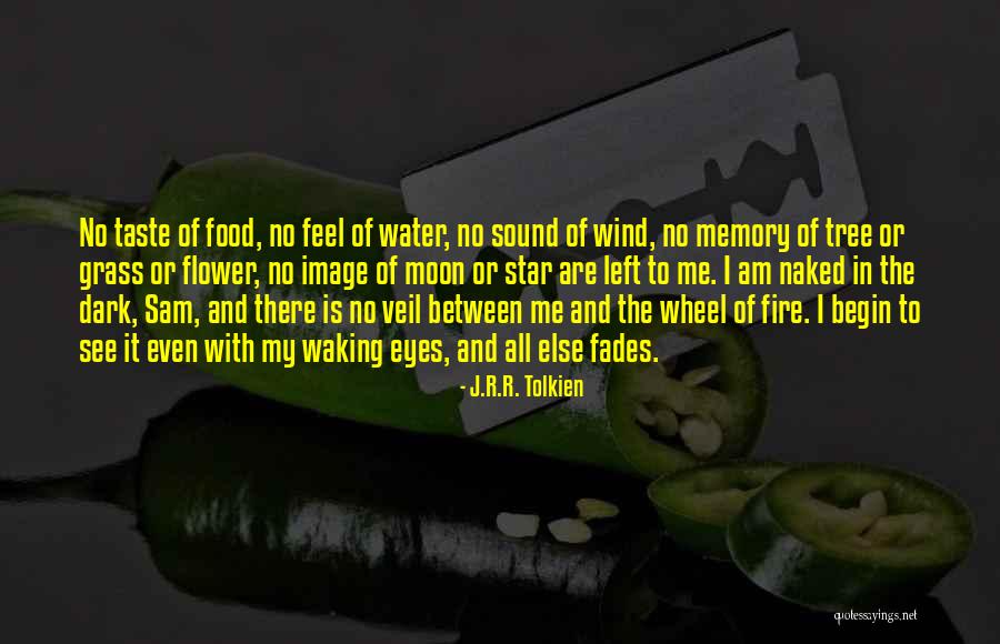 Earth Wind Fire Quotes By J.R.R. Tolkien