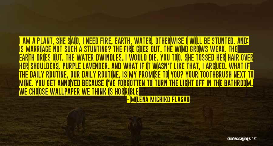 Earth Wind Fire Quotes By Milena Michiko Flasar