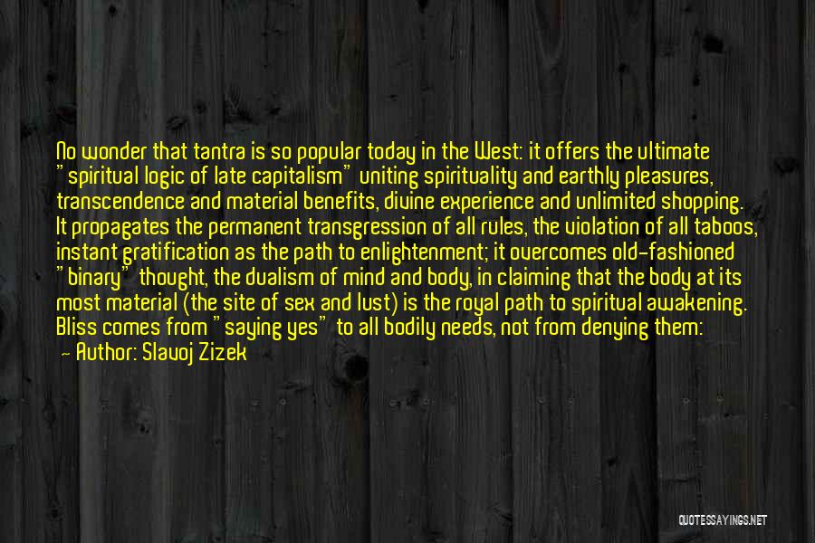 Earthly Material Quotes By Slavoj Zizek