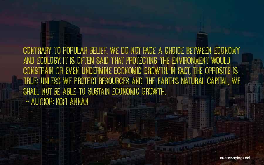 Earth's Resources Quotes By Kofi Annan