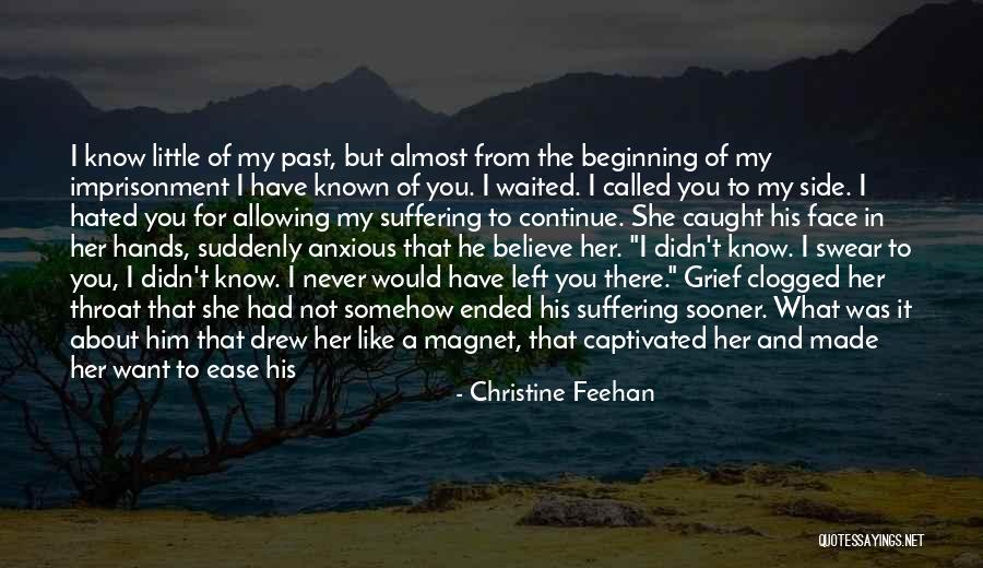 Ease My Pain Quotes By Christine Feehan Ease My Pain Quotes By Christine Feehan