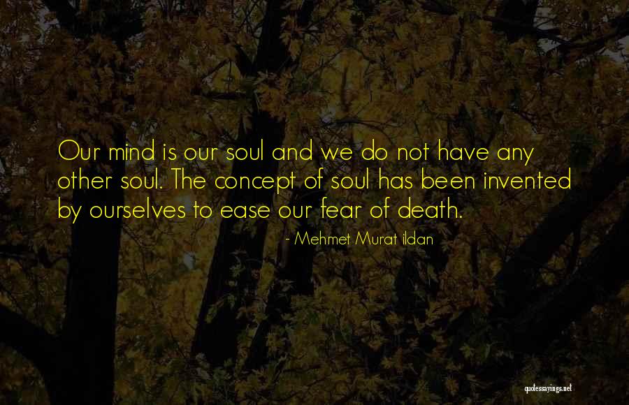 Ease The Mind Quotes By Mehmet Murat Ildan