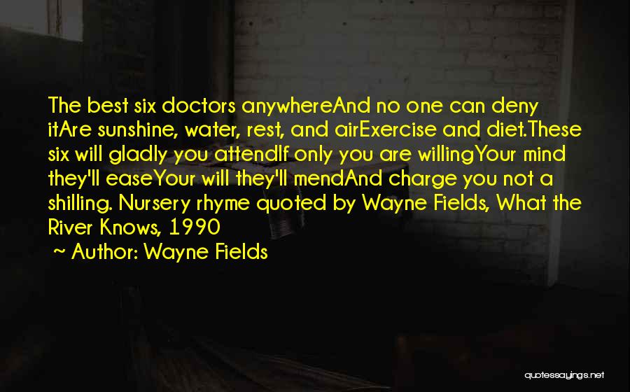 Ease The Mind Quotes By Wayne Fields