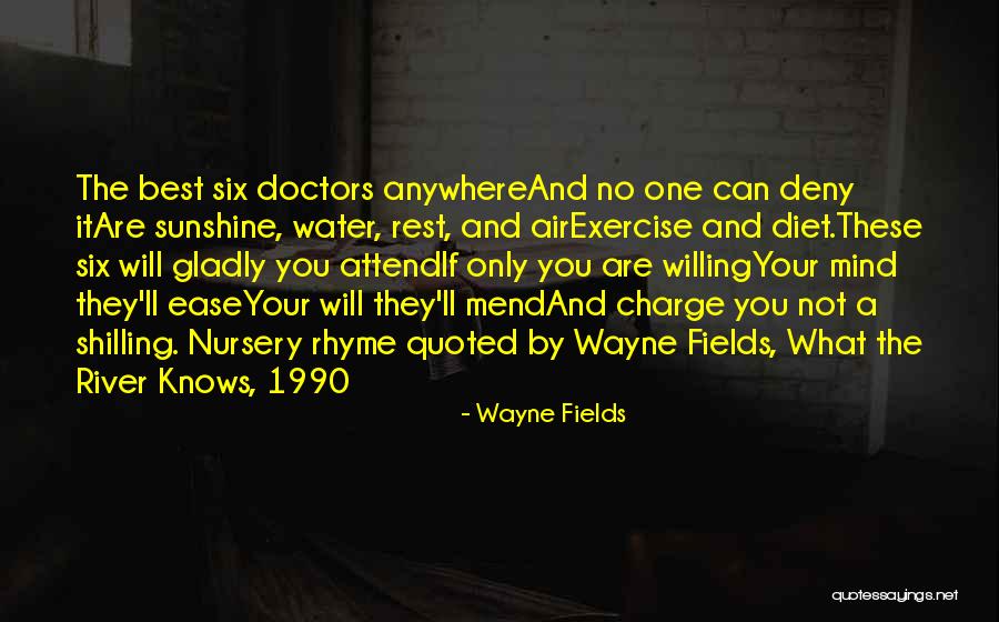 Ease The Mind Quotes By Wayne Fields