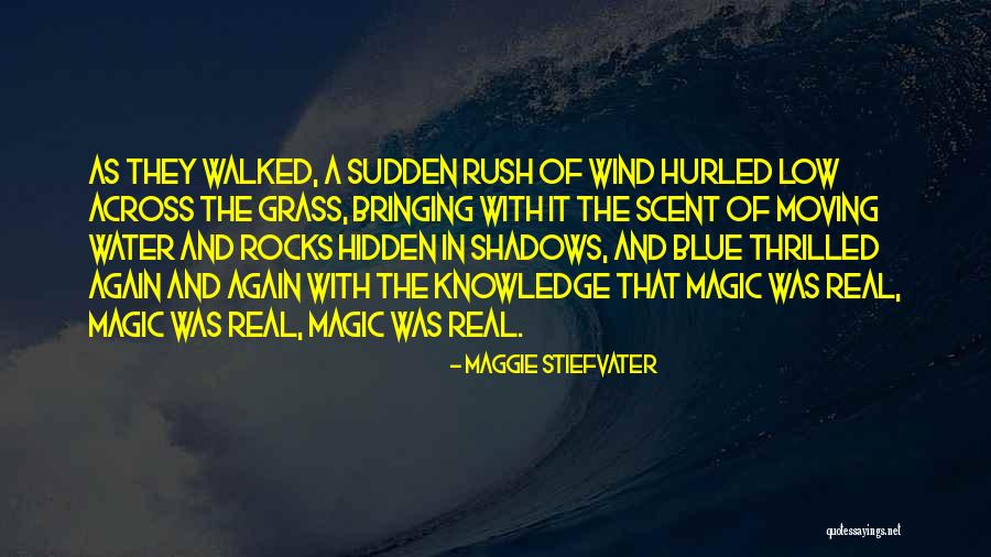 Easing Pain Quotes By Maggie Stiefvater Easing Pain Quotes By Maggie Stiefvater