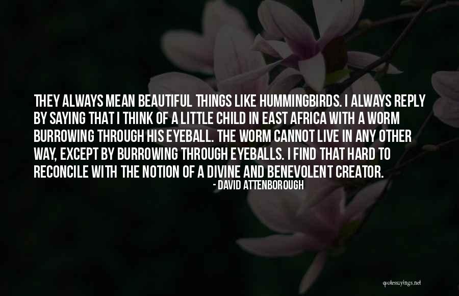 East Africa Quotes By David Attenborough East Africa Quotes By David Attenborough
