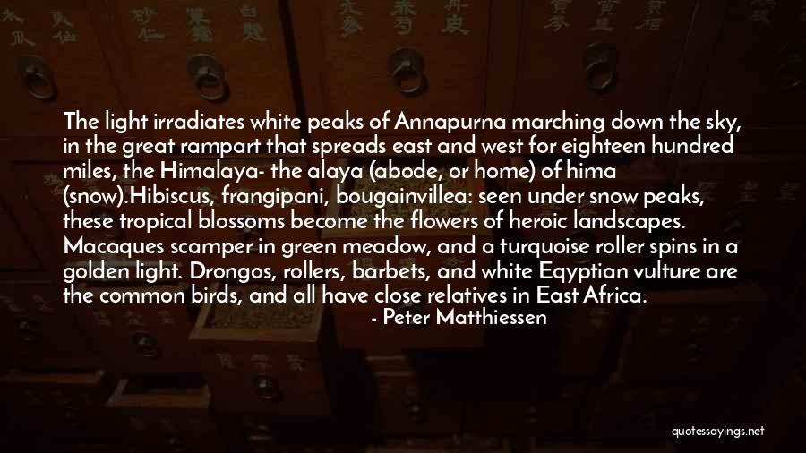 East Quotes By Peter Matthiessen East Quotes By Peter Matthiessen