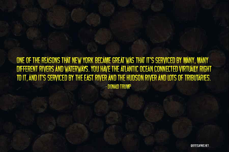 East River Quotes By Donald Trump East River Quotes By Donald Trump