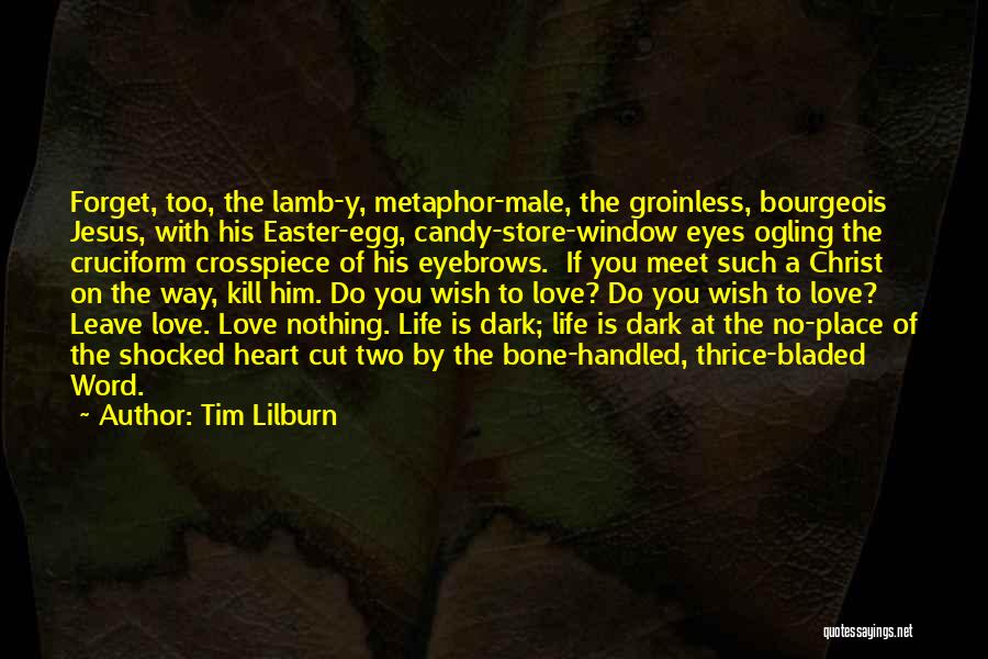 Easter Egg Quotes By Tim Lilburn