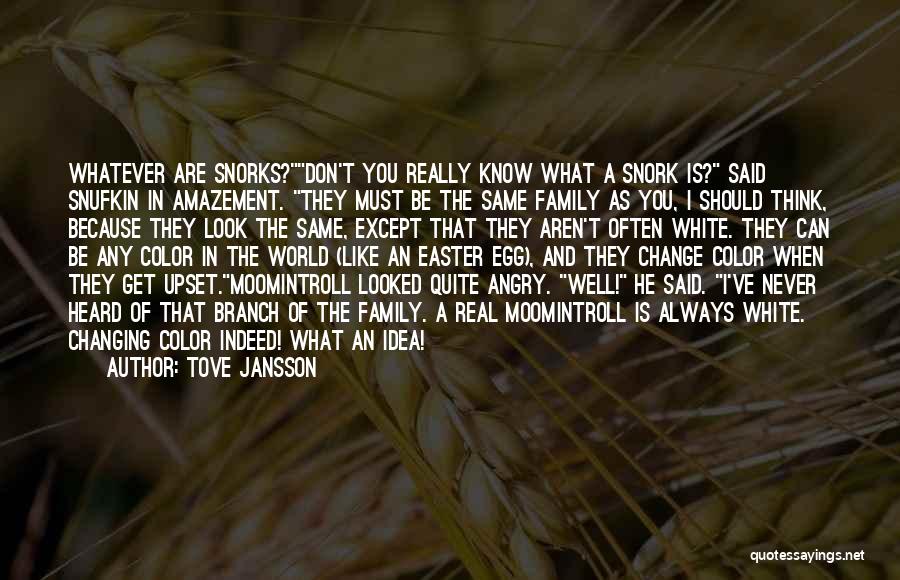 Easter With Family Quotes By Tove Jansson