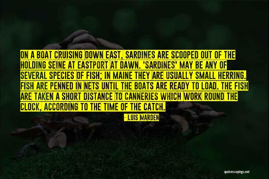 Eastport Quotes By Luis Marden Eastport Quotes By Luis Marden