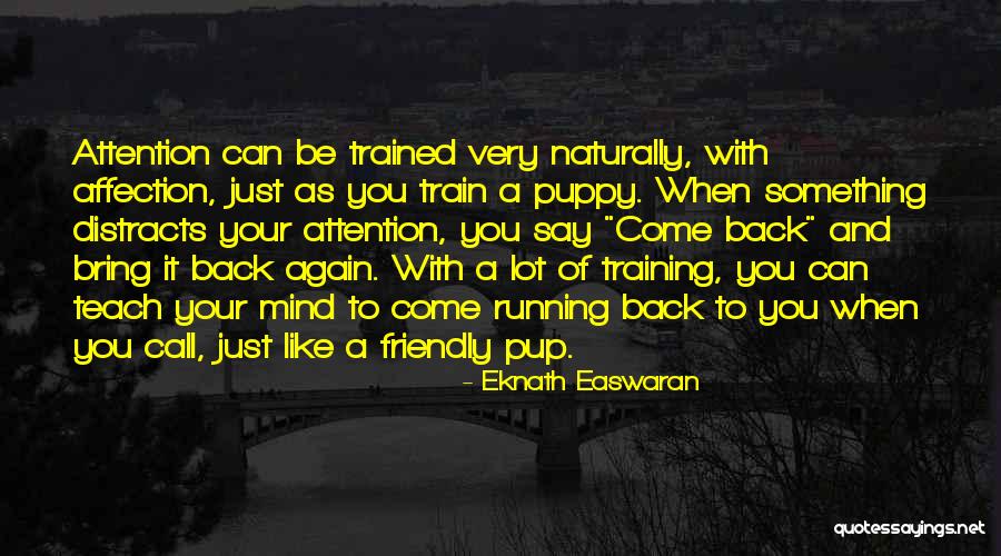 Easwaran Quotes By Eknath Easwaran