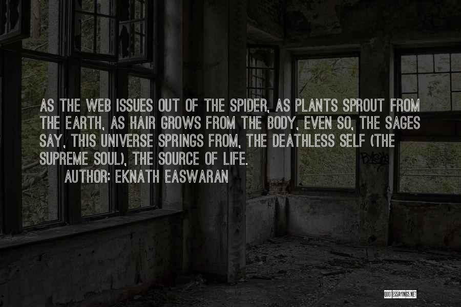 Easwaran Quotes By Eknath Easwaran