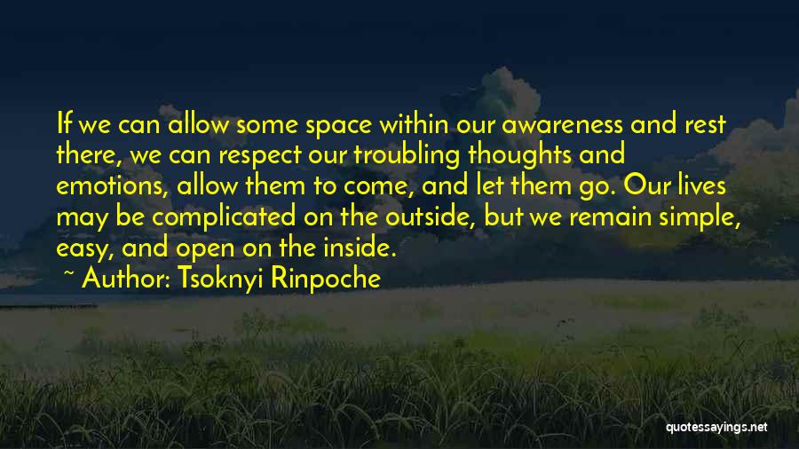 Easy Come Easy Go Quotes By Tsoknyi Rinpoche