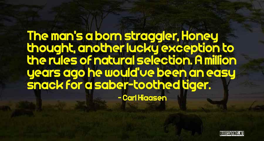 Easy Tiger Quotes By Carl Hiaasen Easy Tiger Quotes By Carl Hiaasen