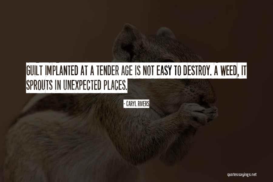 Easy To Destroy Quotes By Caryl Rivers Easy To Destroy Quotes By Caryl Rivers