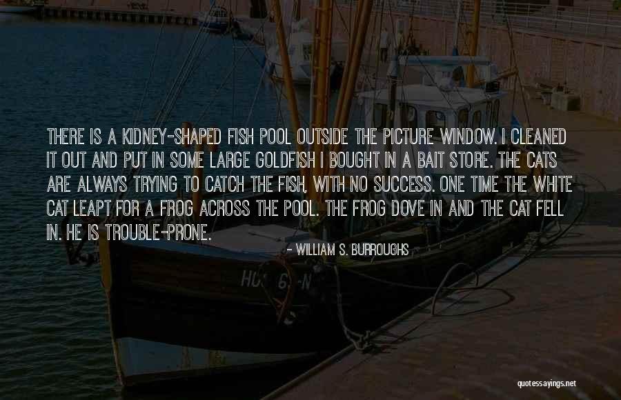 Easyorchidgrowing Quotes By William S. Burroughs Easyorchidgrowing Quotes By William S. Burroughs