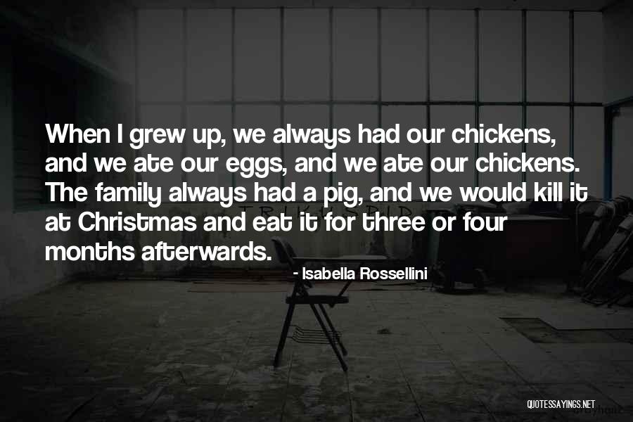 Eat Eggs Quotes By Isabella Rossellini Eat Eggs Quotes By Isabella Rossellini