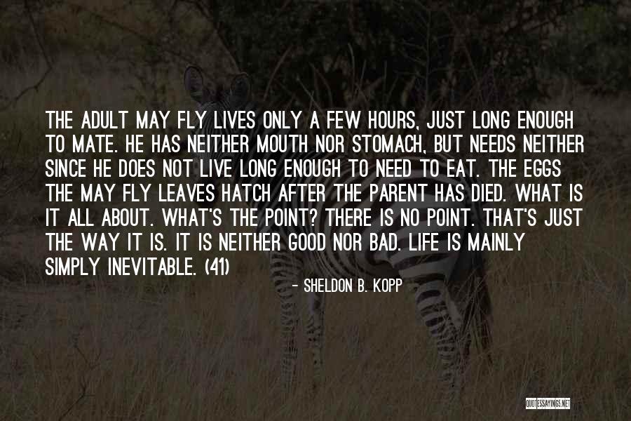 Eat Eggs Quotes By Sheldon B. Kopp Eat Eggs Quotes By Sheldon B. Kopp