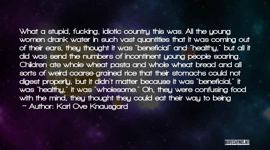 Eat Healthy Food Quotes By Karl Ove Knausgard Eat Healthy Food Quotes By Karl Ove Knausgard