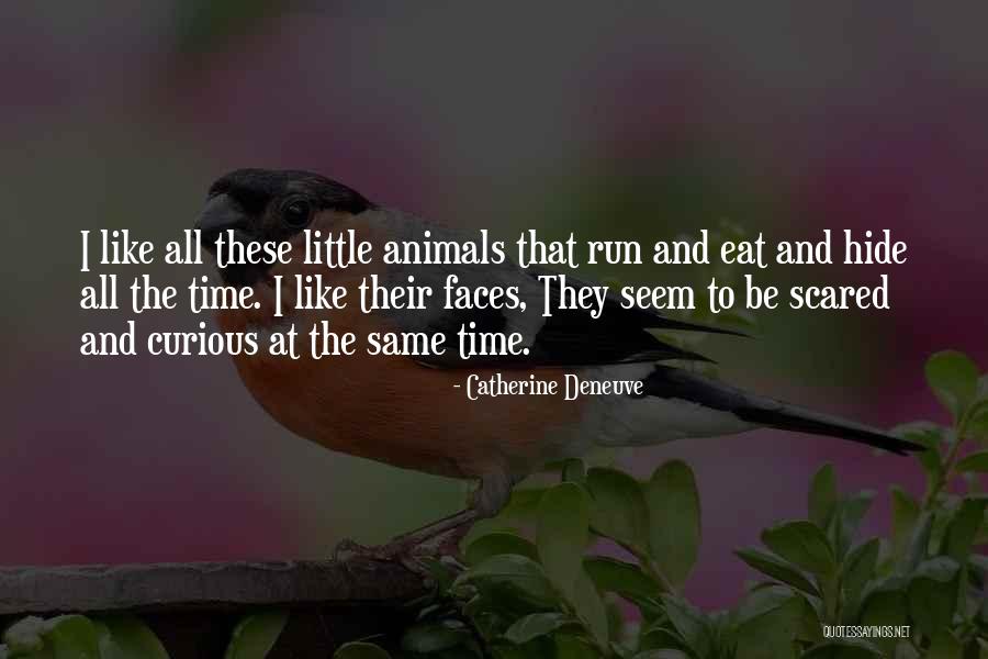 Eat Like Quotes By Catherine Deneuve Eat Like Quotes By Catherine Deneuve