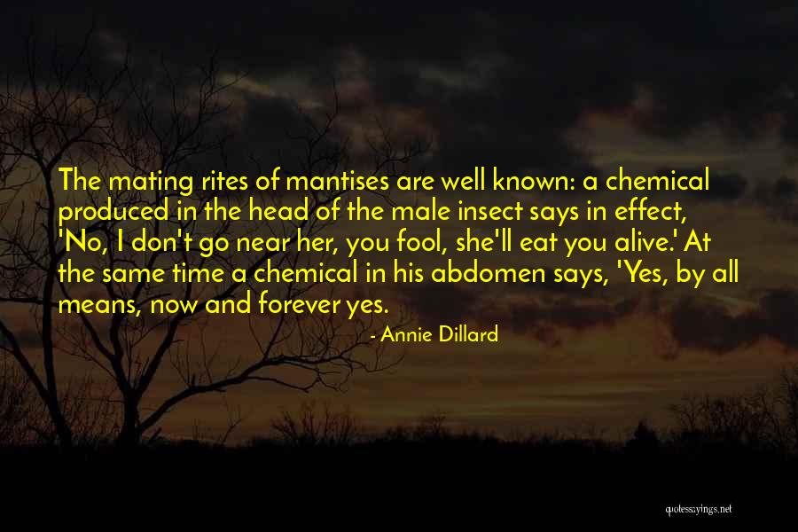 Eat You Alive Quotes By Annie Dillard Eat You Alive Quotes By Annie Dillard