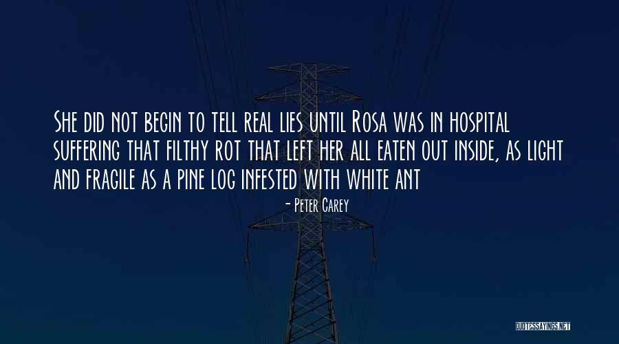 Eaten Out Quotes By Peter Carey Eaten Out Quotes By Peter Carey