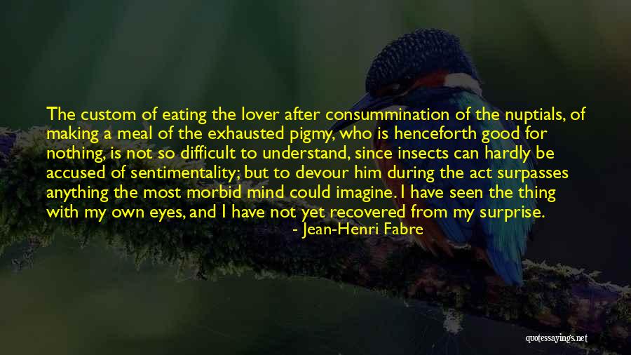 Eating A Good Meal Quotes By Jean-Henri Fabre Eating A Good Meal Quotes By Jean-Henri Fabre