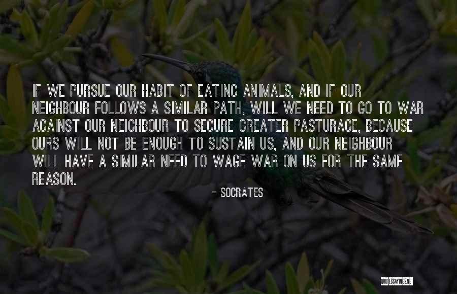 Eating Animals Quotes By Socrates Eating Animals Quotes By Socrates