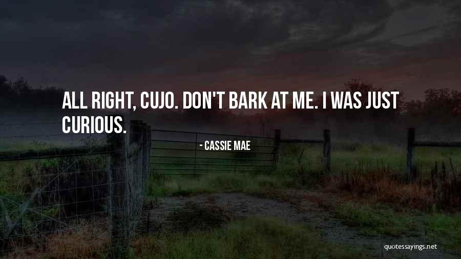 Eating Seafood Quotes By Cassie Mae Eating Seafood Quotes By Cassie Mae