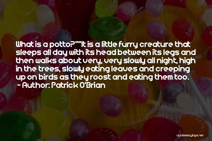 Eating Slowly Quotes By Patrick O'Brian