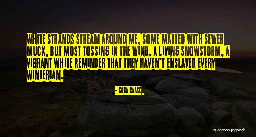 Ebaugh Hardwire Quotes By Sara Raasch Ebaugh Hardwire Quotes By Sara Raasch