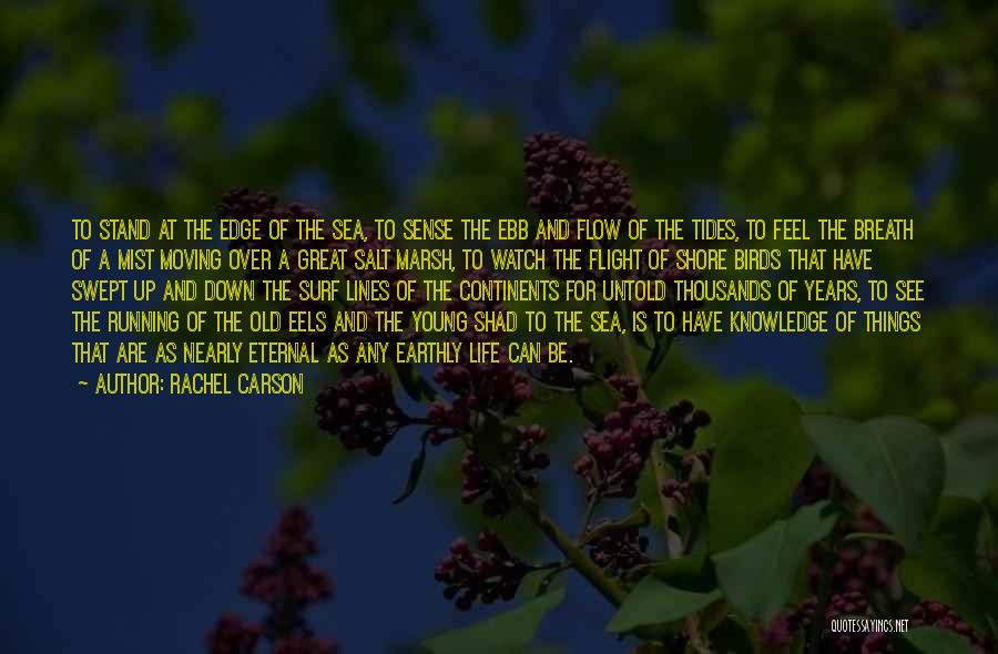 Ebb And Flow Quotes By Rachel Carson