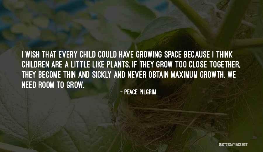 Ebbed Synonym Quotes By Peace Pilgrim Ebbed Synonym Quotes By Peace Pilgrim