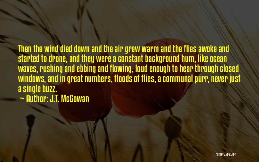 Ebbing Quotes By J.T. McGowan