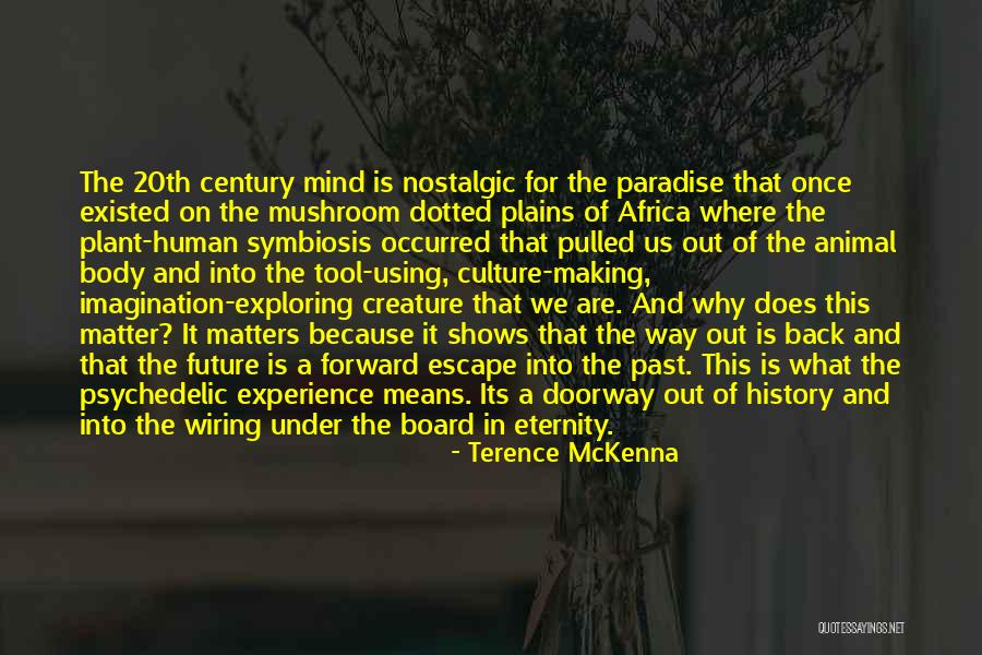 Ebelechukwu Obiano Quotes By Terence McKenna Ebelechukwu Obiano Quotes By Terence McKenna