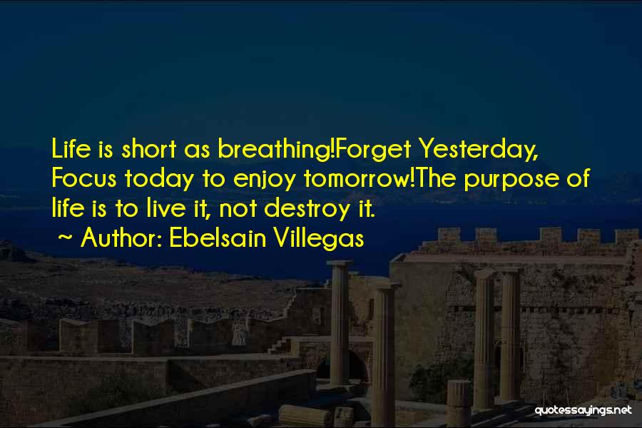 Ebelsain Villegas Quotes 1302203