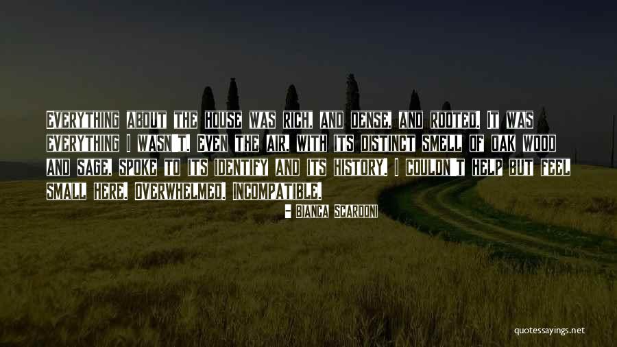 Ebenseer Fetzenzug Quotes By Bianca Scardoni