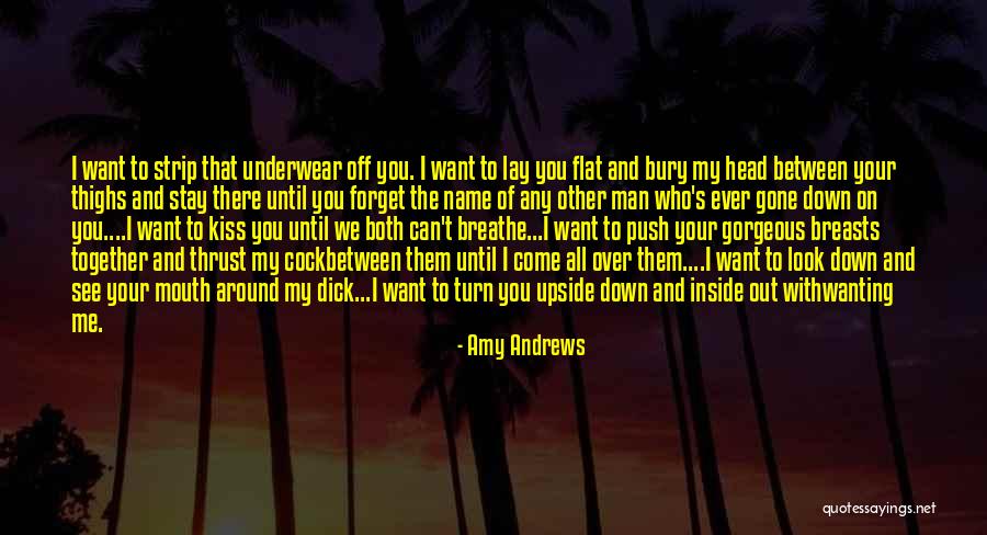 Ebensteiner Co Quotes By Amy Andrews Ebensteiner Co Quotes By Amy Andrews