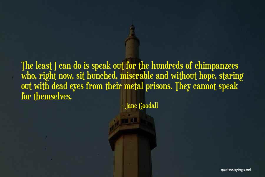 Eberstadt Mary Quotes By Jane Goodall Eberstadt Mary Quotes By Jane Goodall